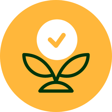 Easy Ordering Process